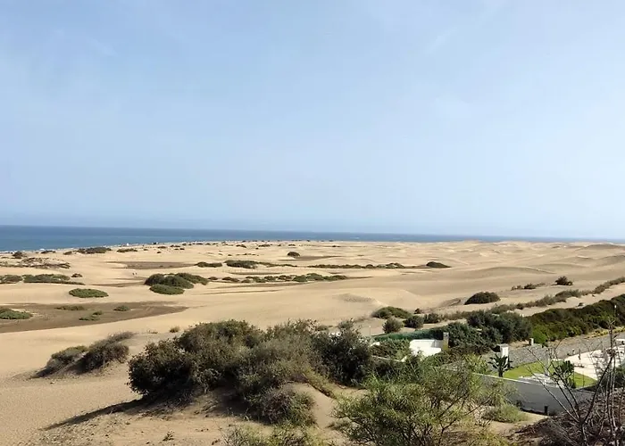 Dalius - With Pool Near The Dunes Of Maspalomas Appartement *